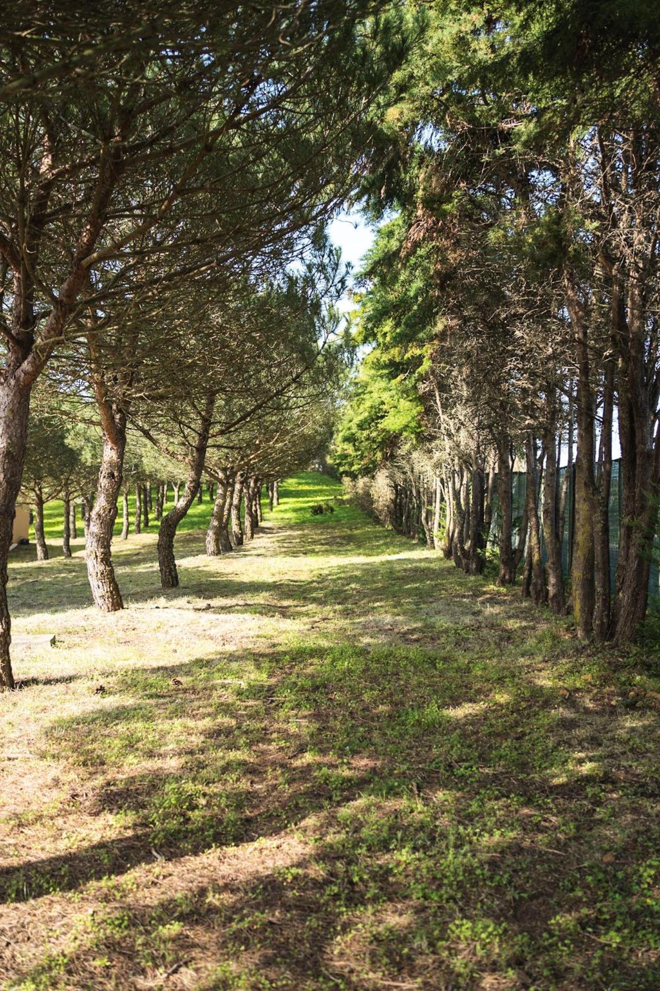 Quinta Raposeiros Santo Isidoro Exterior foto