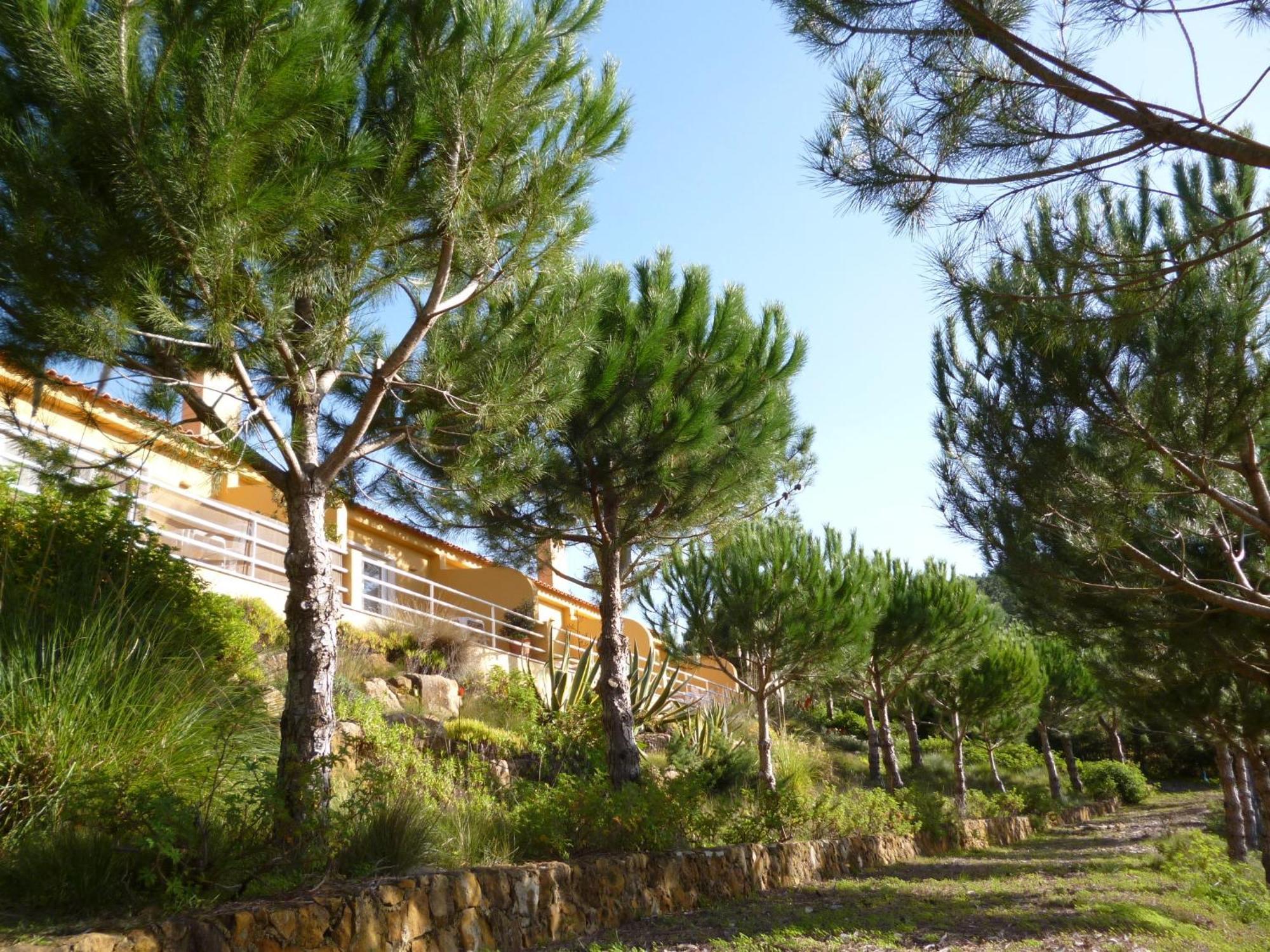 Quinta Raposeiros Santo Isidoro Exterior foto