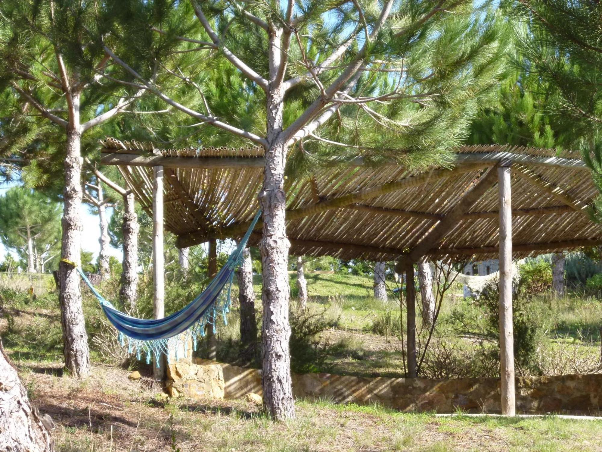 Quinta Raposeiros Santo Isidoro Exterior foto