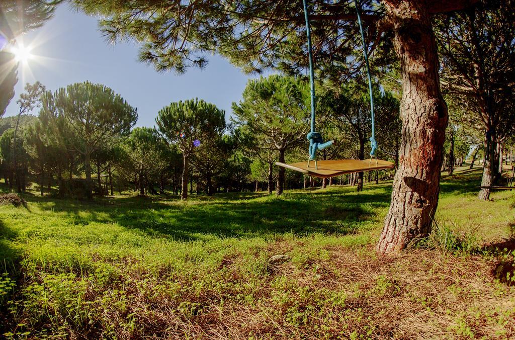 Quinta Raposeiros Santo Isidoro Exterior foto